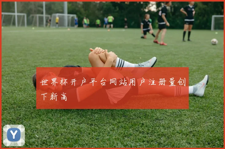 世界杯开户平台网站用户注册量创下新高