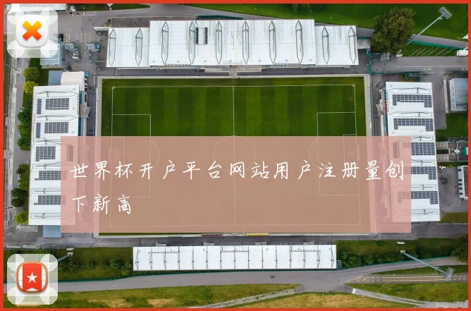 世界杯开户平台网站用户注册量创下新高