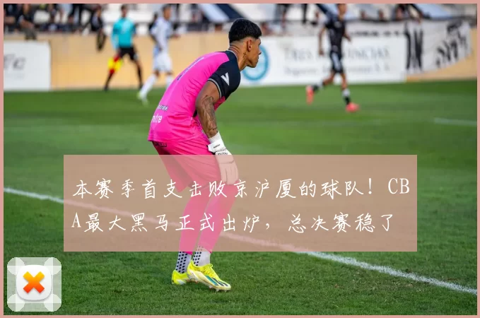 本赛季首支击败京沪厦的球队！CBA最大黑马正式出炉，总决赛稳了