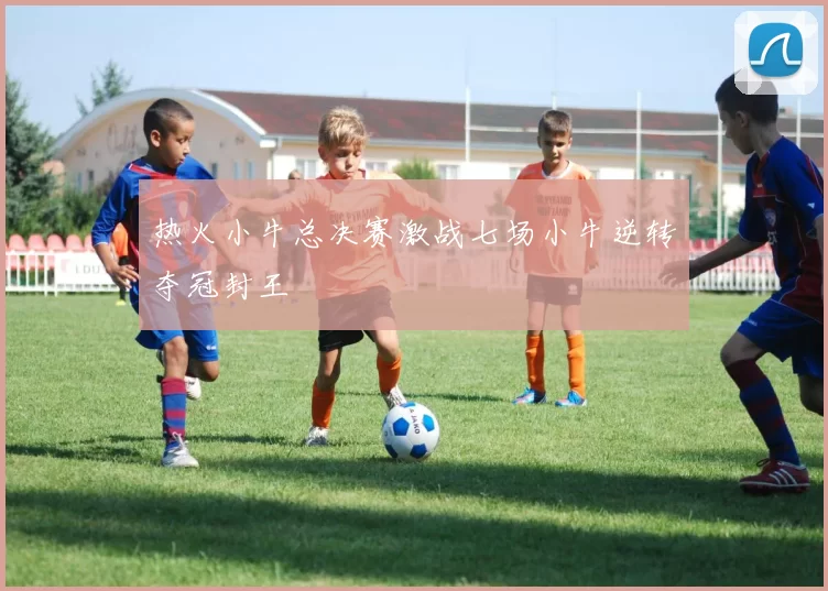 热火小牛总决赛激战七场小牛逆转夺冠封王