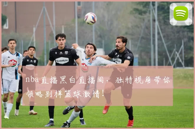nba直播黑白直播间,独特视角带你领略别样篮球激情!
