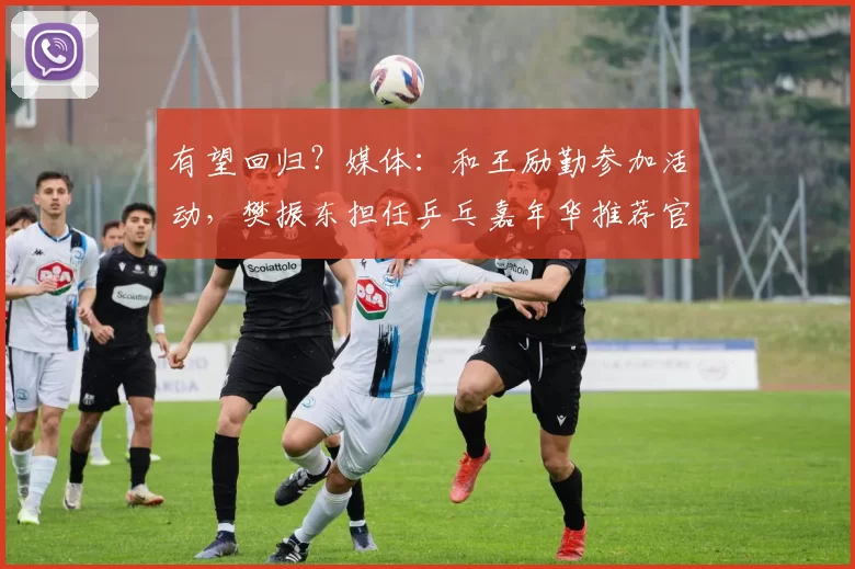 有望回归？媒体：和王励勤参加活动，樊振东担任乒乓嘉年华推荐官